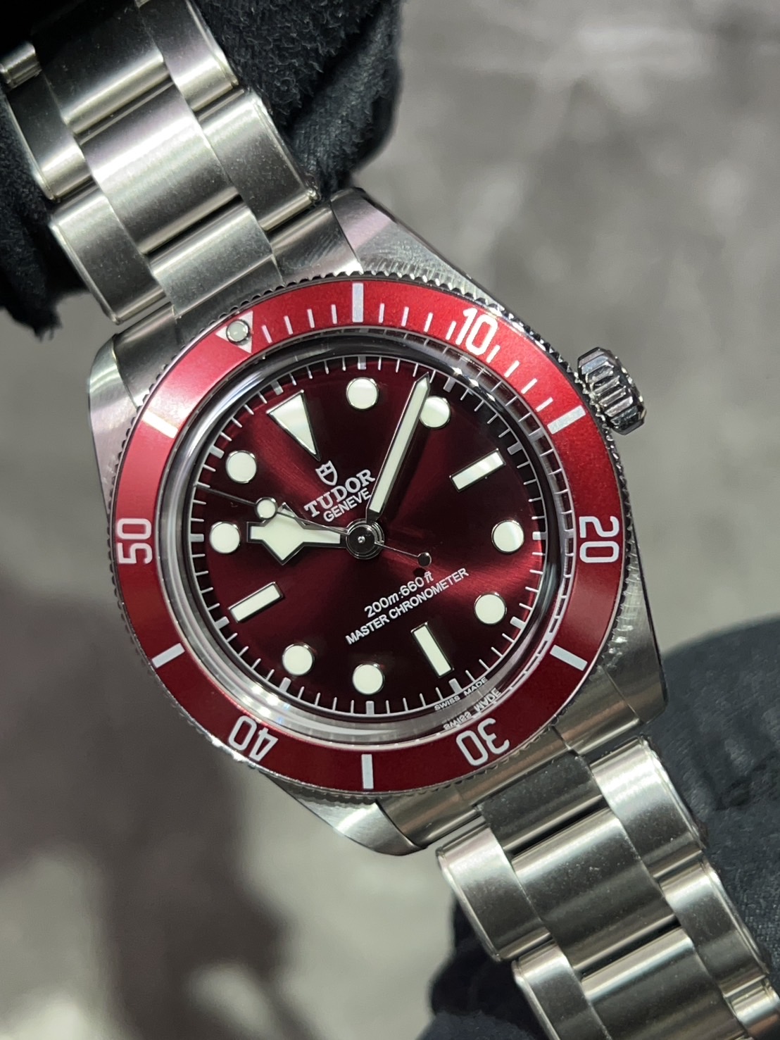 TUDOR(チューダー) ブラックベイ 58【2025年4月印】【極美品】【M7939A1A0RU-0002】